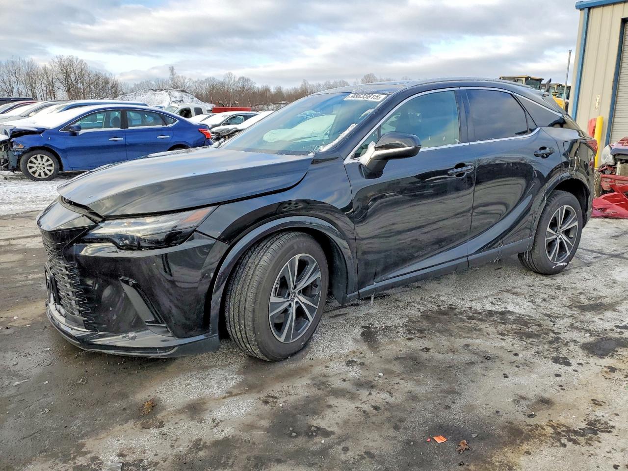 2025 LEXUS RX