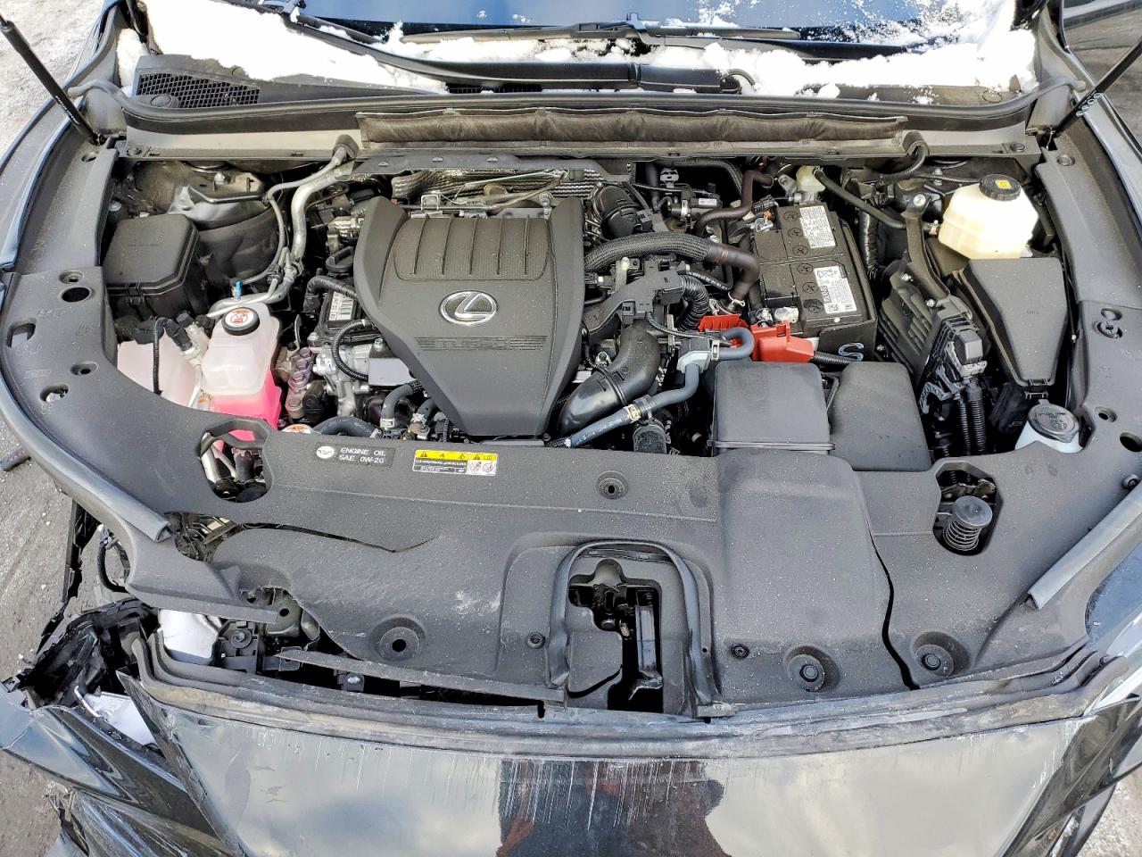 2025 LEXUS RX 350 BASE photo 12