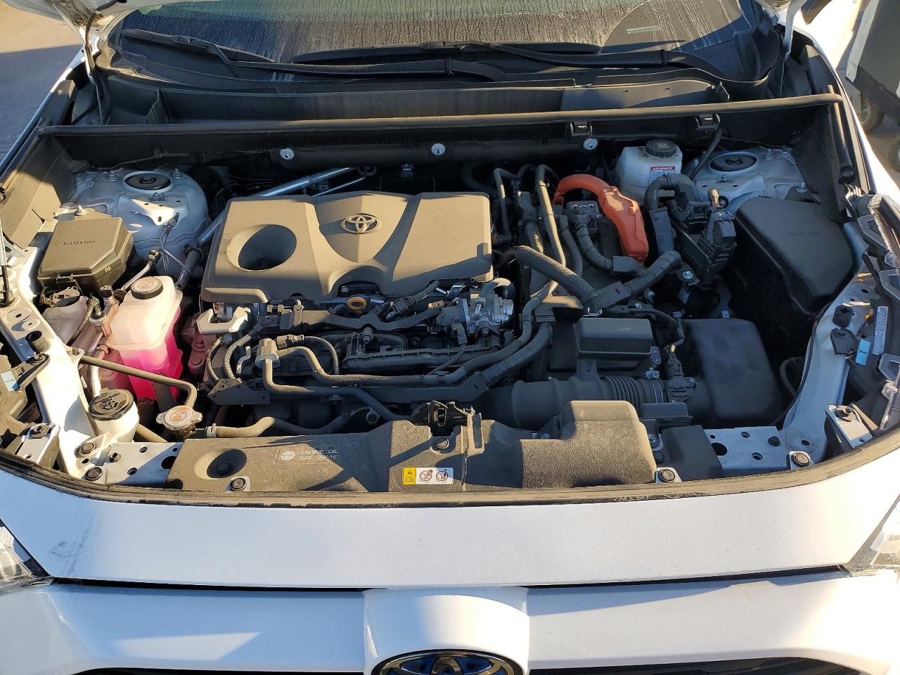 2024 TOYOTA RAV4 XLE photo 12