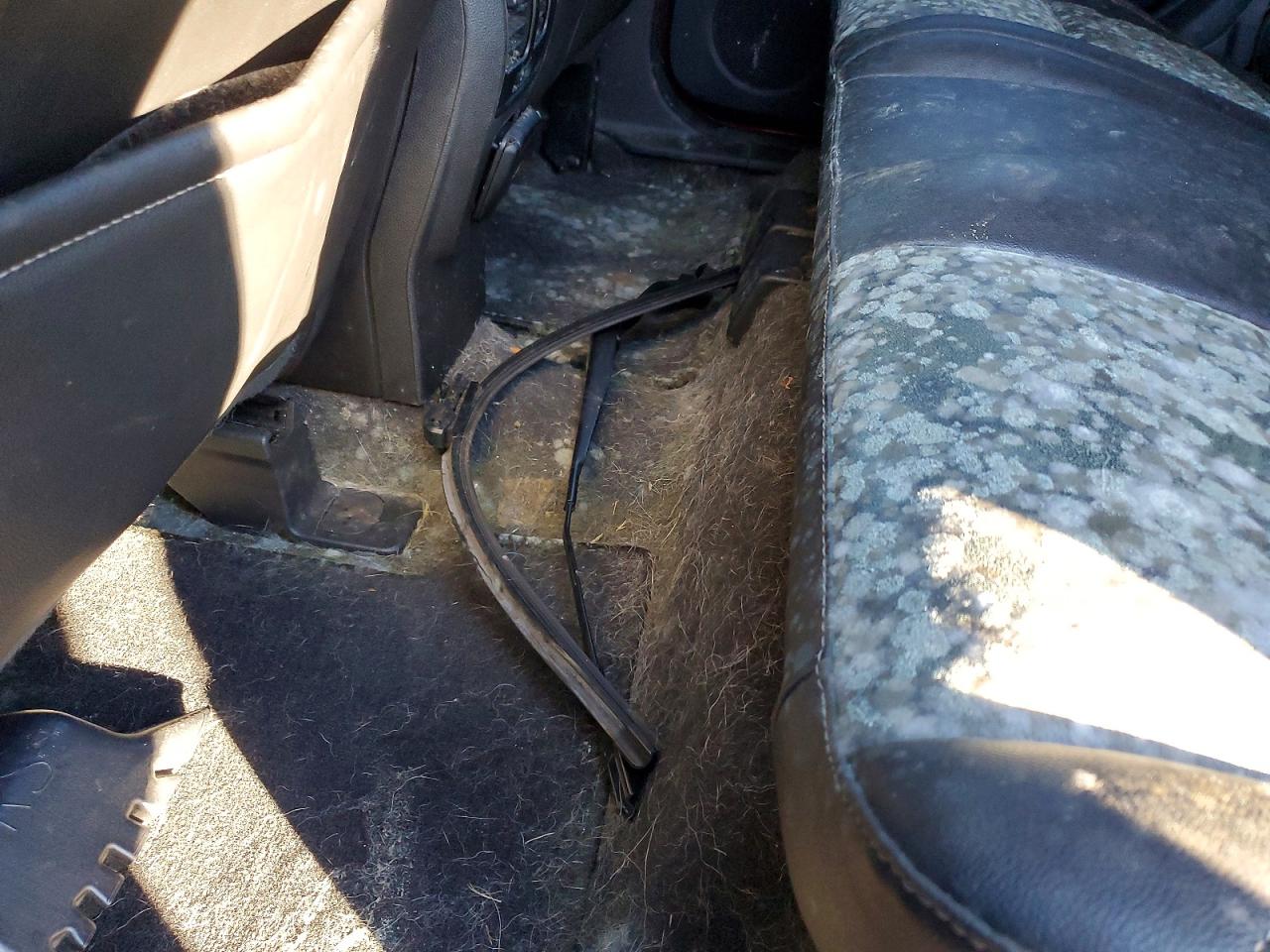 2014 FORD ESCAPE TITANIUM photo 13