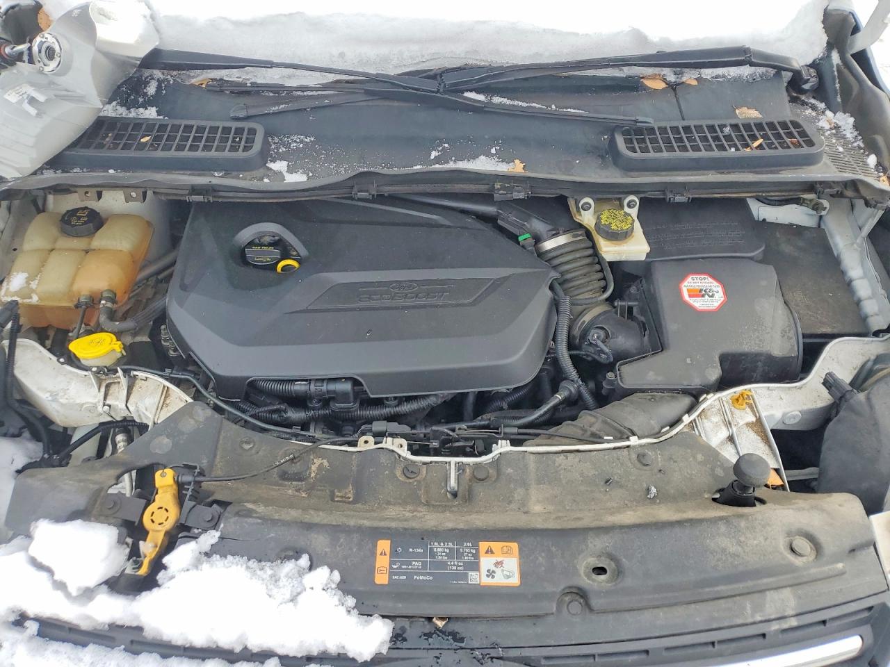 2014 FORD ESCAPE SE photo 11
