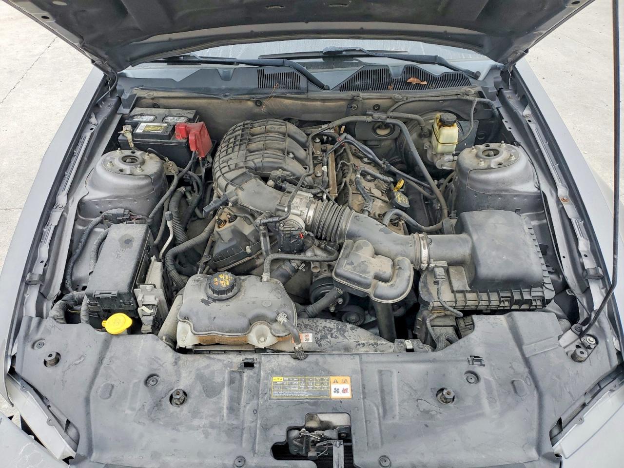 2014 FORD MUSTANG photo 11