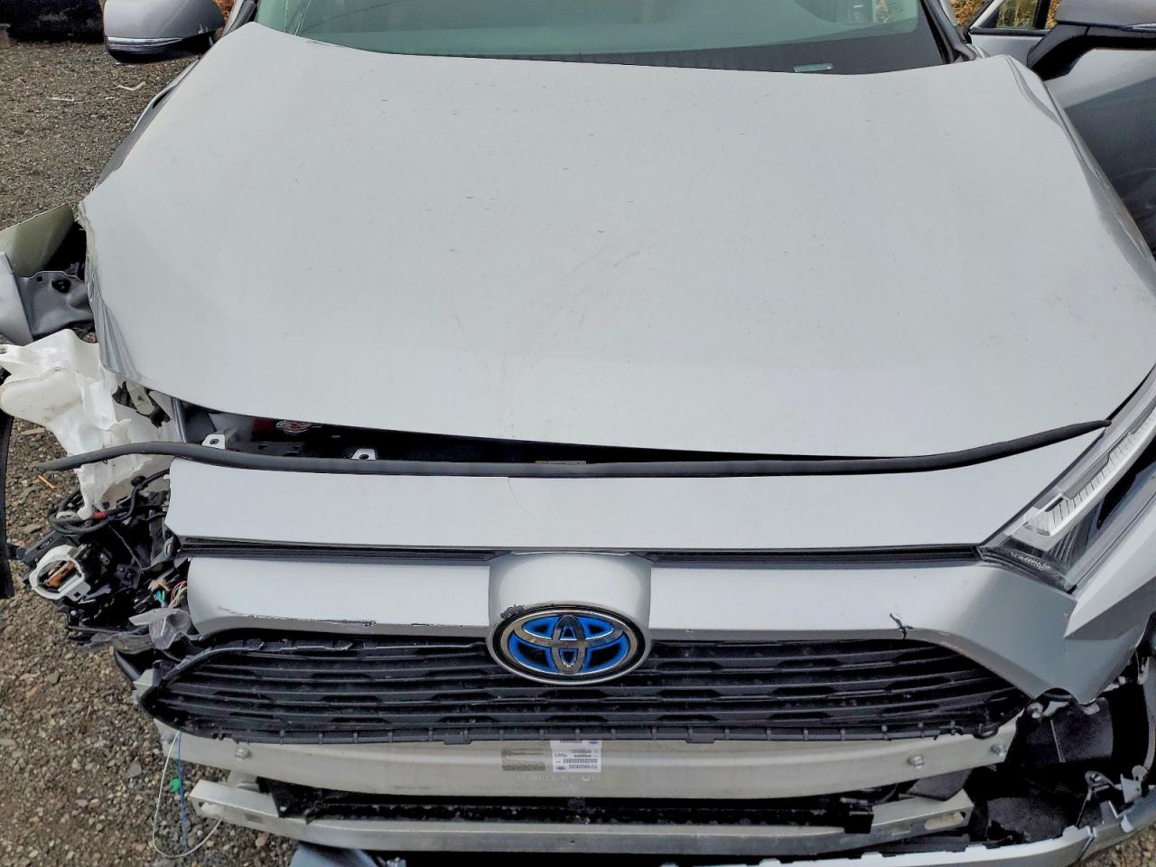 2024 TOYOTA RAV4 XLE PREMIUM photo 12