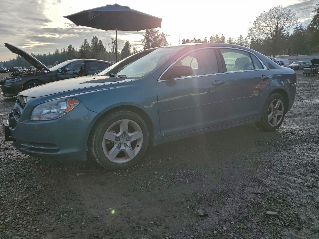 2009 CHEVROLET MALIBU