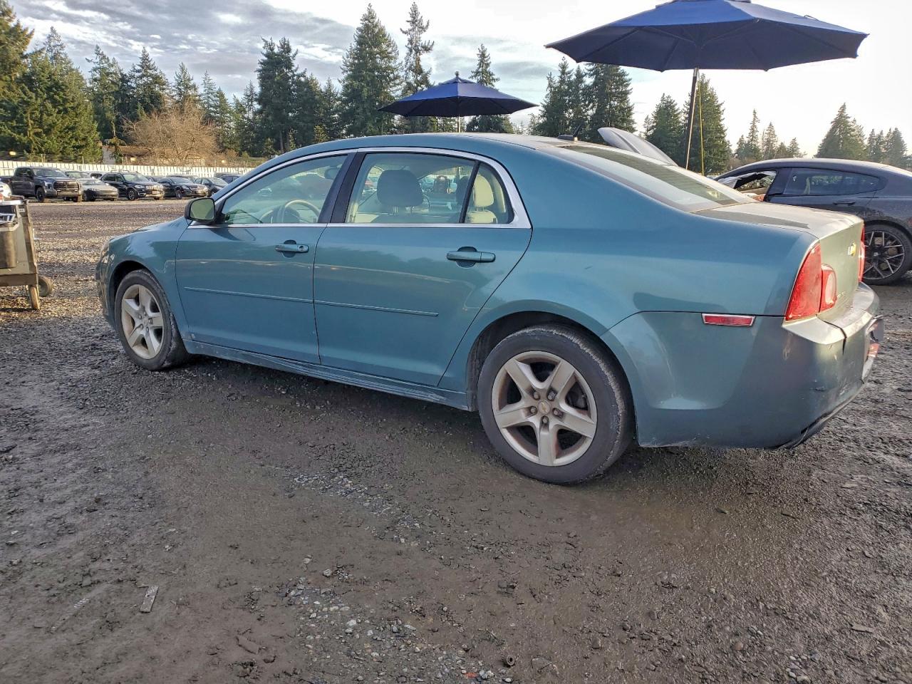 2009 CHEVROLET MALIBU LS photo 2