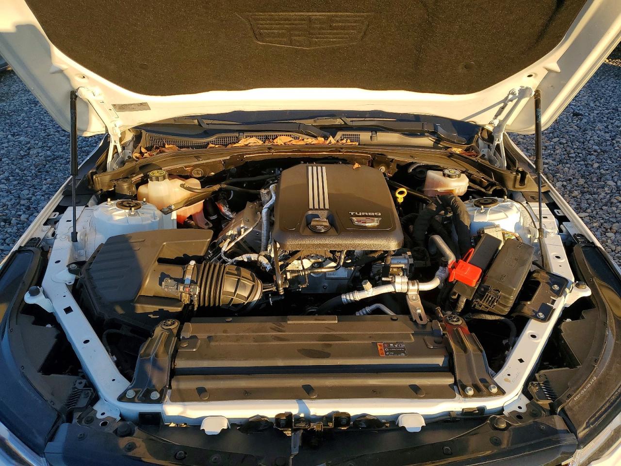2021 CADILLAC CT4 LUXURY photo 11