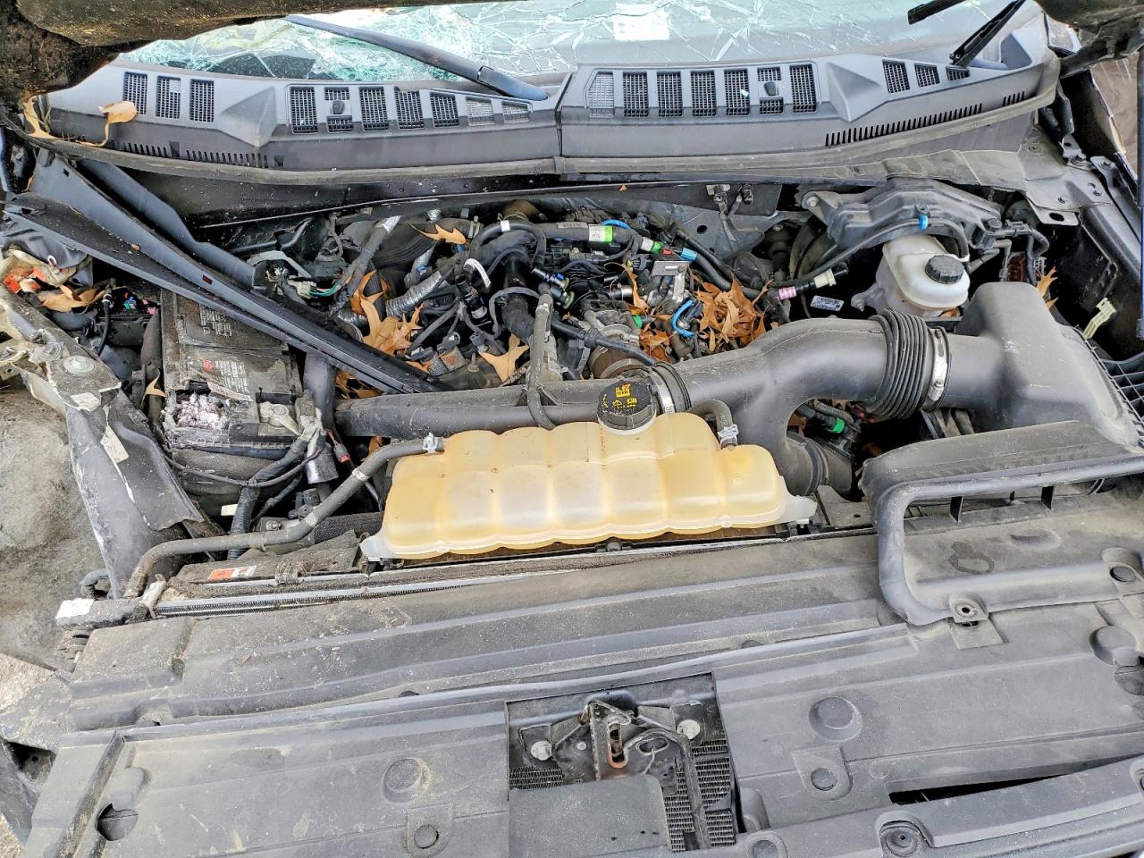 2019 FORD F150 SUPERCREW photo 11