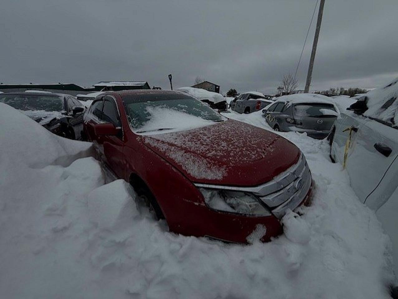 2010 FORD FUSION SEL photo 4