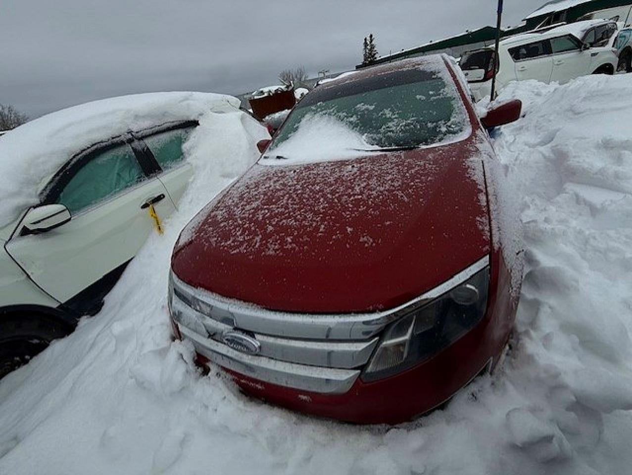 2010 FORD FUSION SEL photo 5