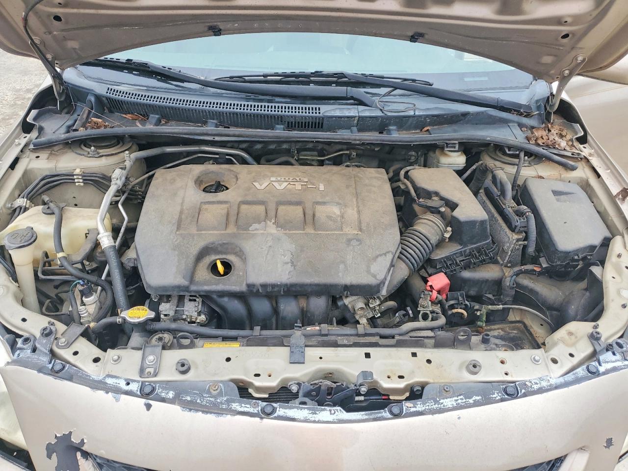 2010 TOYOTA COROLLA BASE photo 11