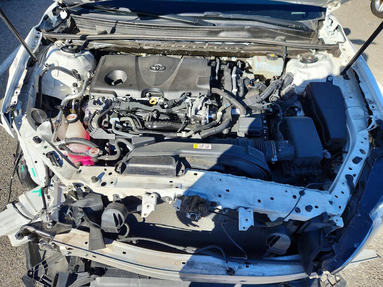2019 TOYOTA CAMRY LE photo 11