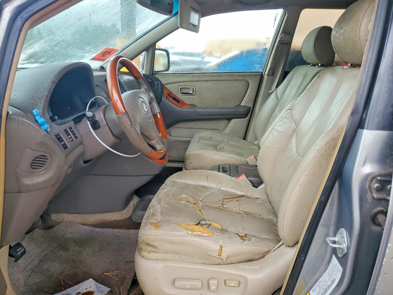 2002 LEXUS RX 300 photo 7
