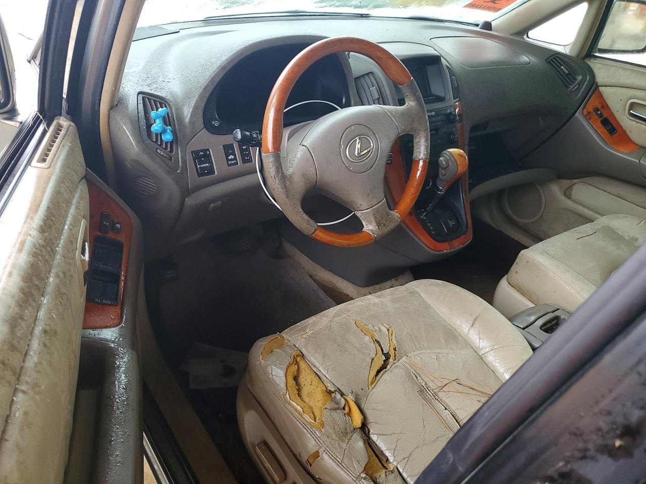 2002 LEXUS RX 300 photo 8