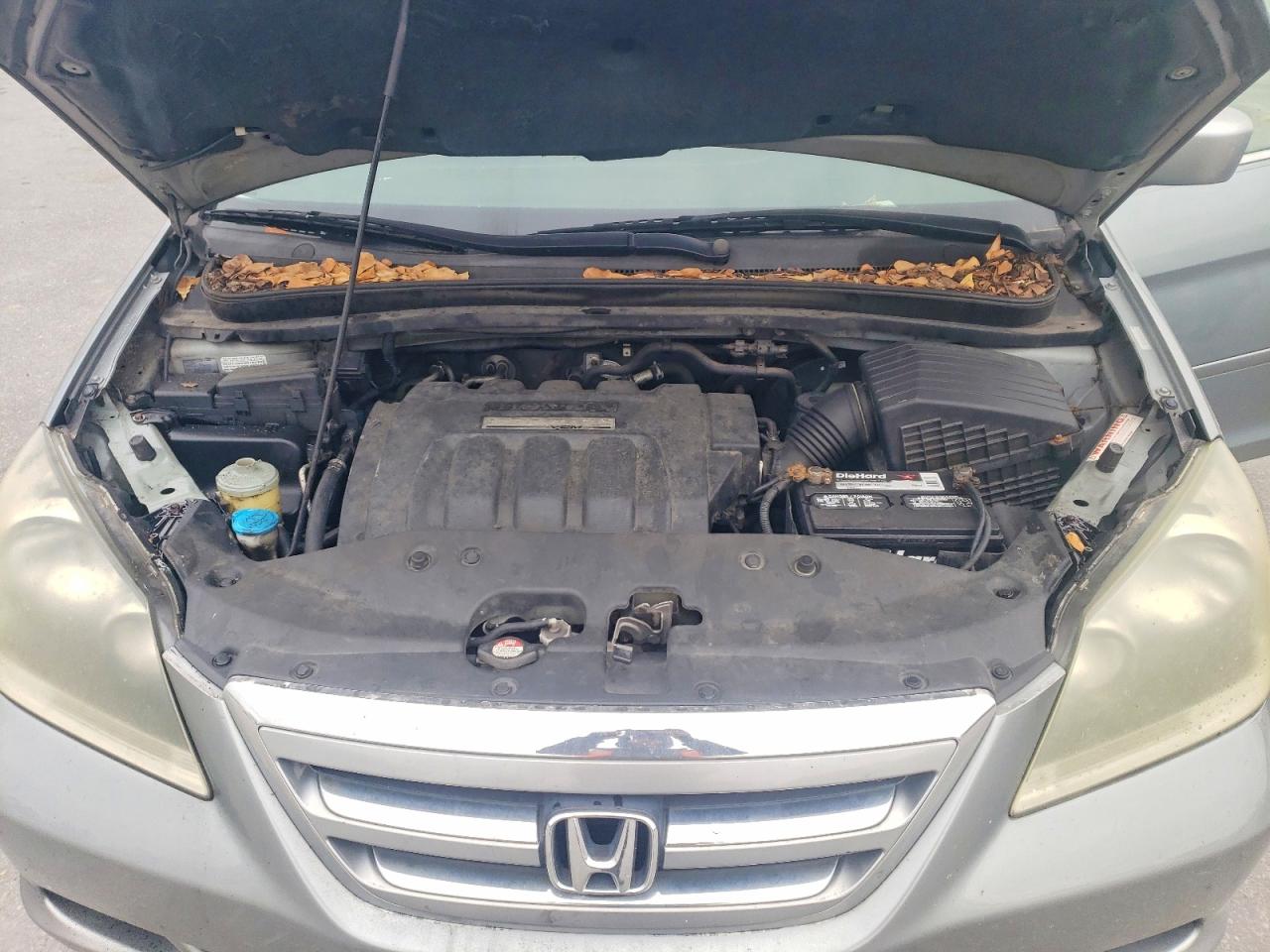 2005 HONDA ODYSSEY EXL photo 12