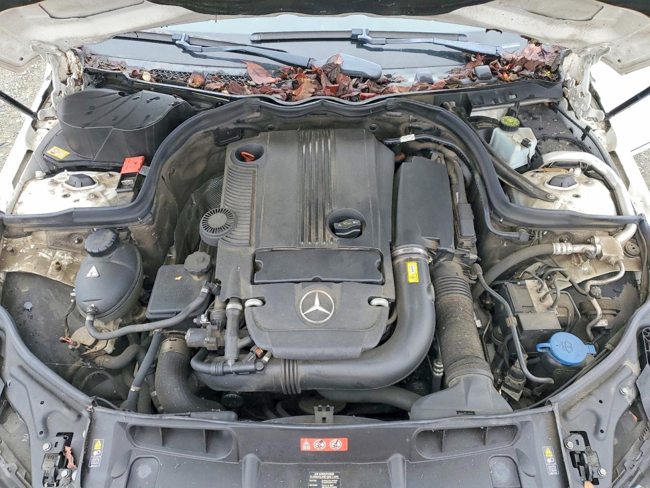 2013 MERCEDES-BENZ C 250 photo 11