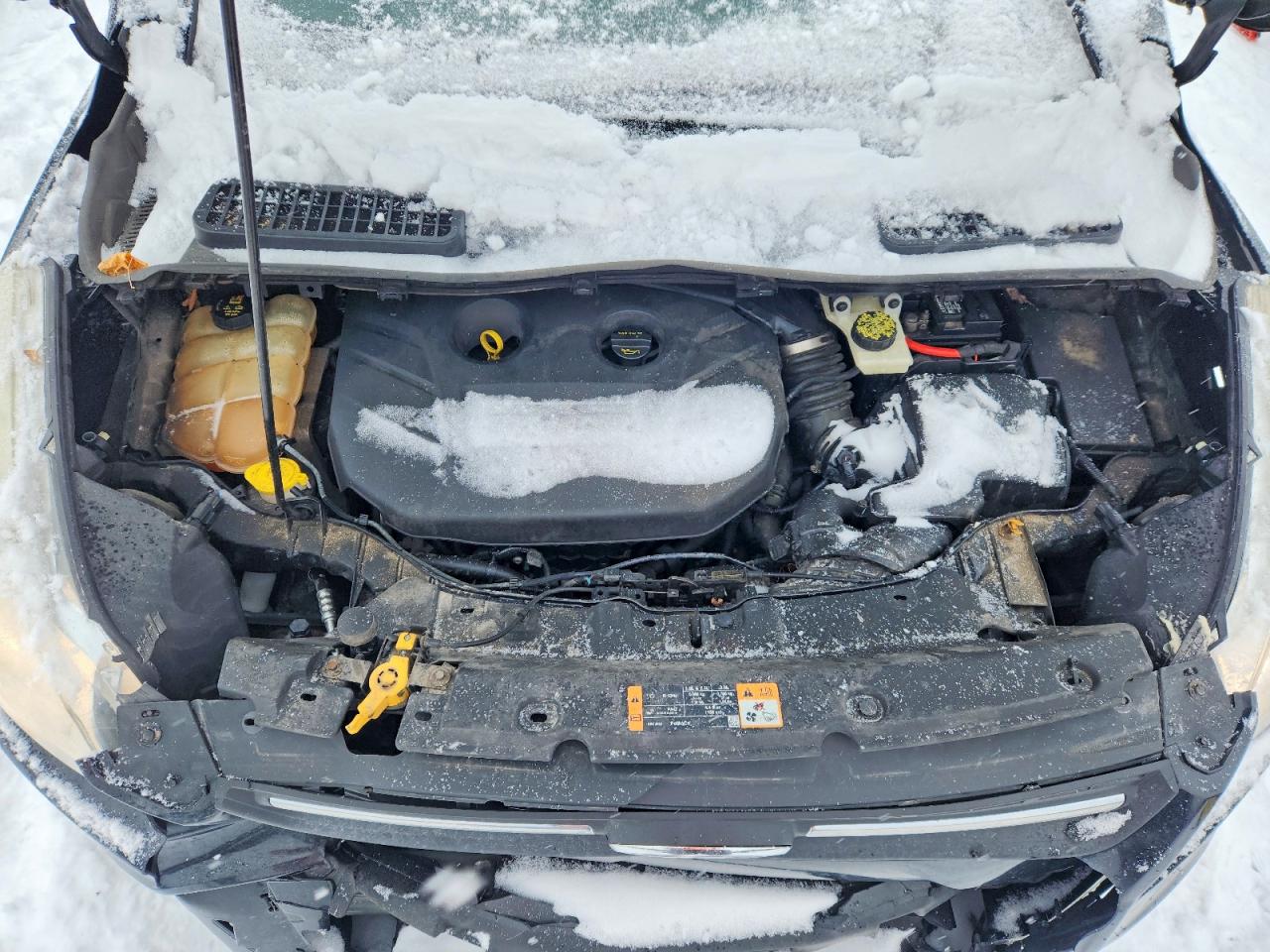 2014 FORD ESCAPE SE photo 11