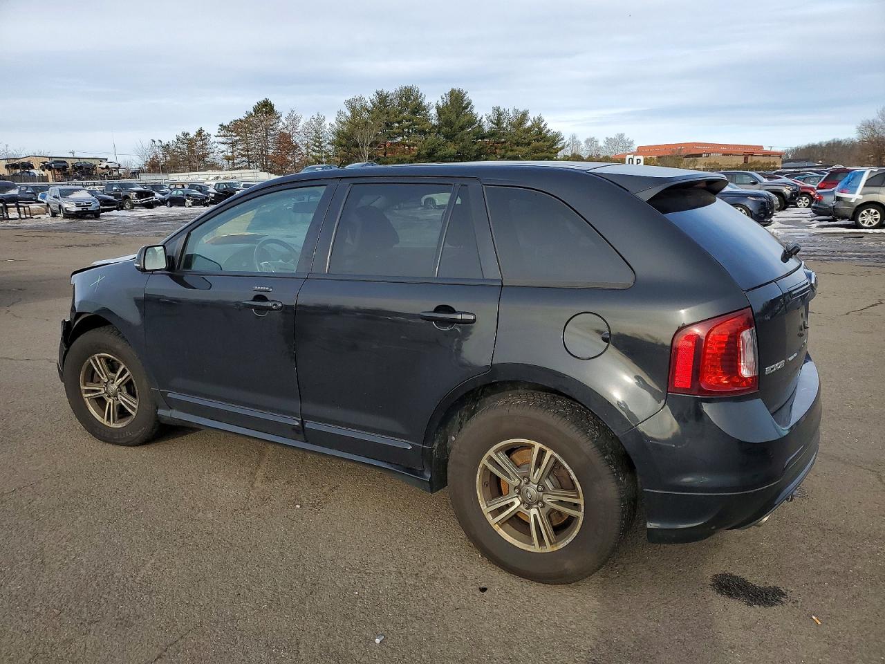 2013 FORD EDGE SPORT photo 2