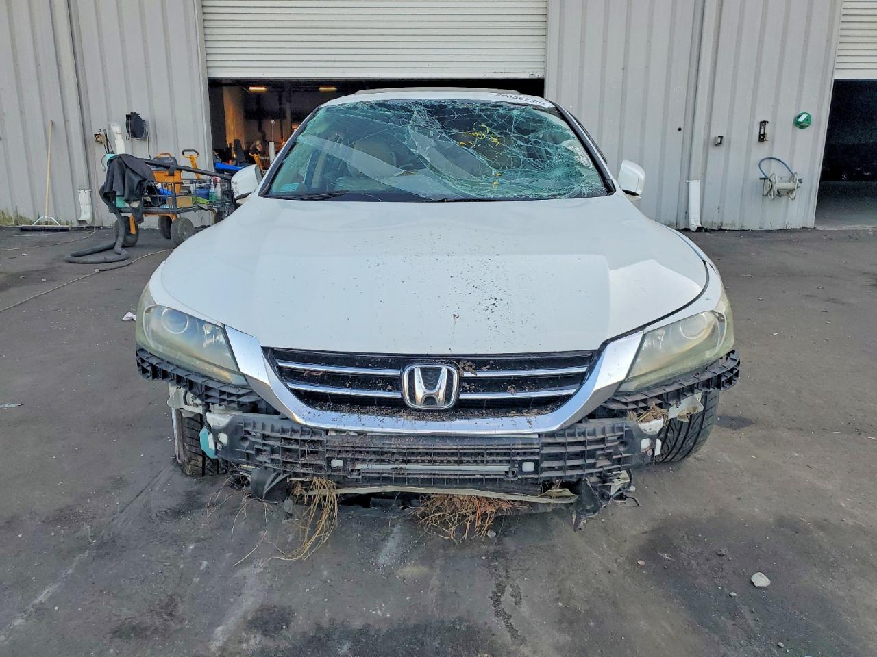 2014 HONDA ACCORD EXL photo 5