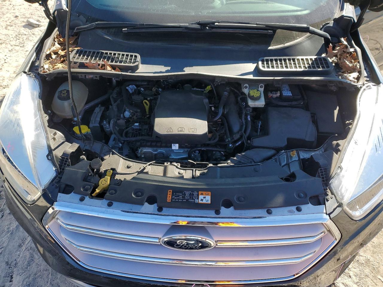 2019 FORD ESCAPE SE photo 12