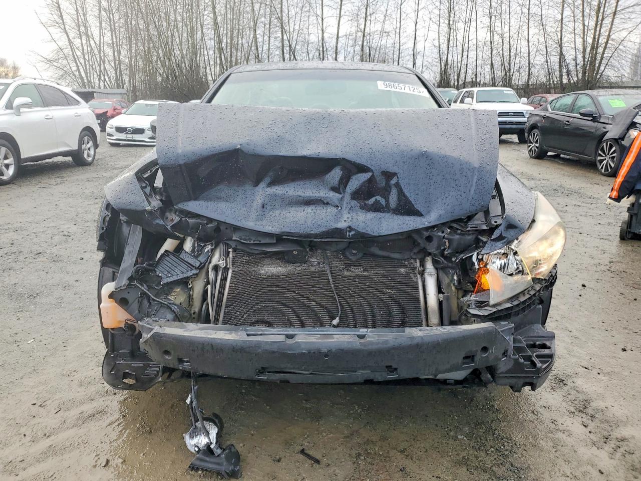2008 HONDA ACCORD EXL photo 5