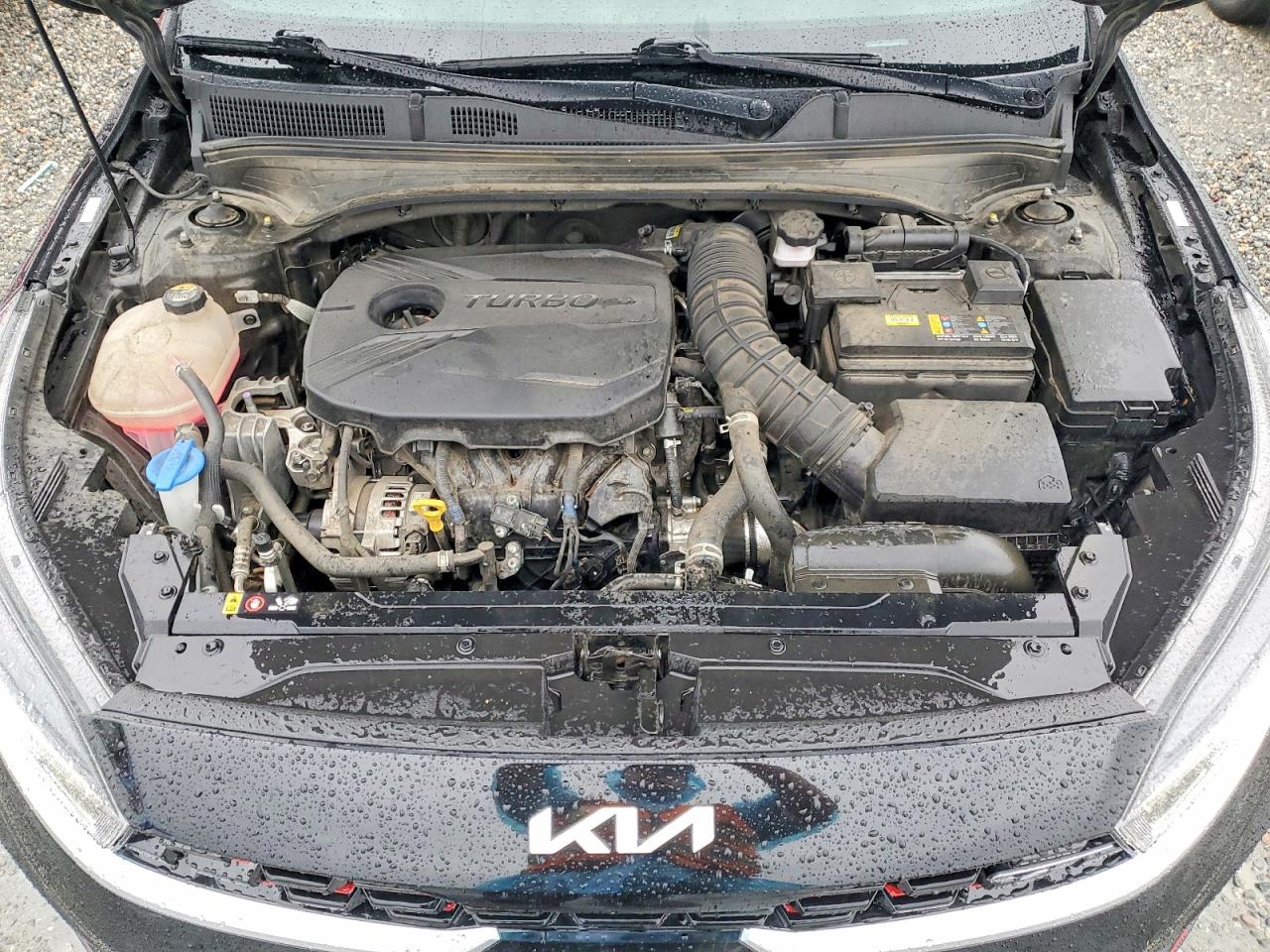 2023 KIA FORTE GT photo 11