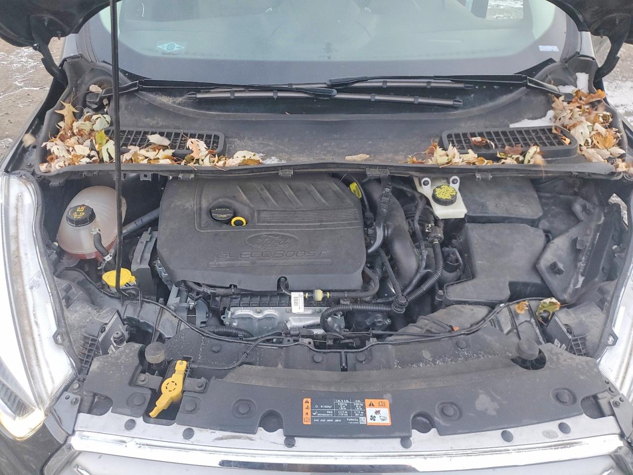 2018 FORD ESCAPE SEL photo 12
