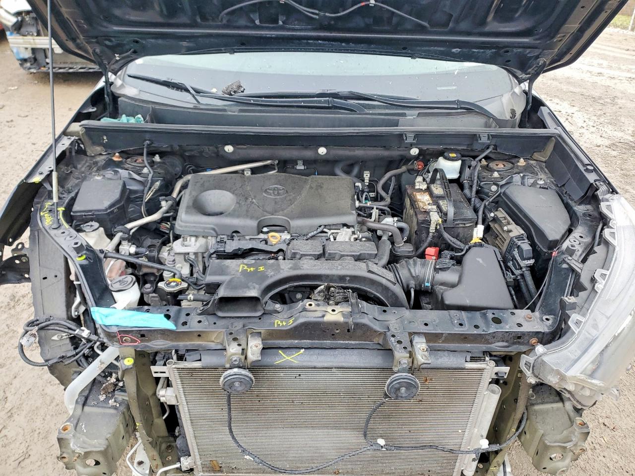 2019 TOYOTA RAV4 LE photo 12