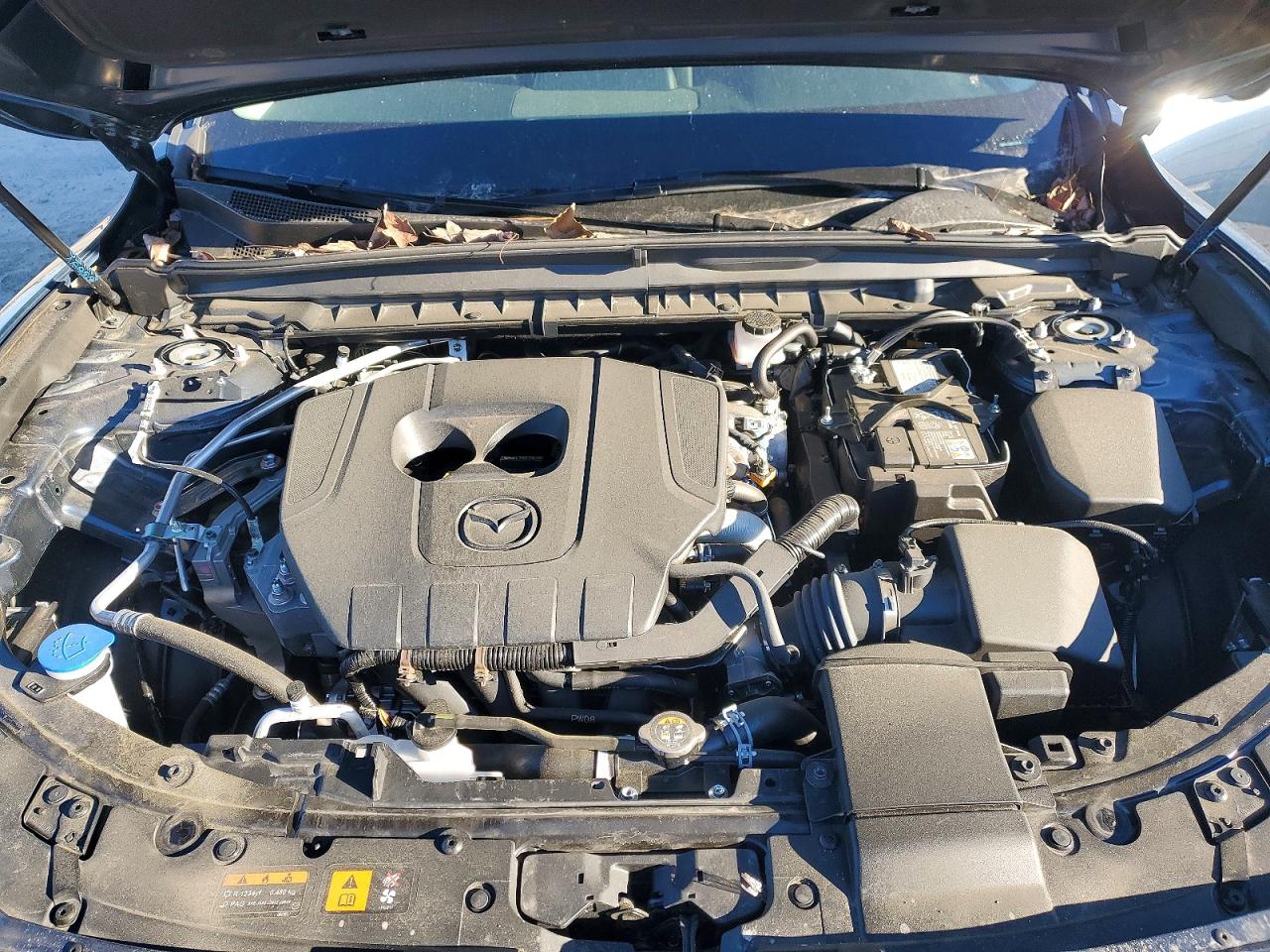 2025 MAZDA CX-50 PREFERRED photo 12