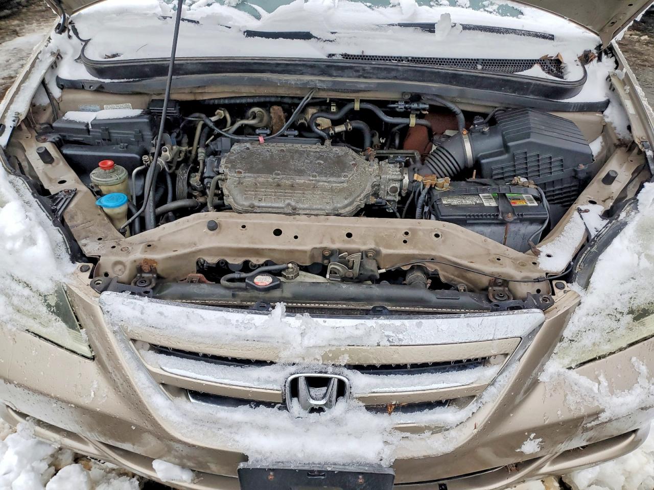2007 HONDA ODYSSEY EXL photo 12