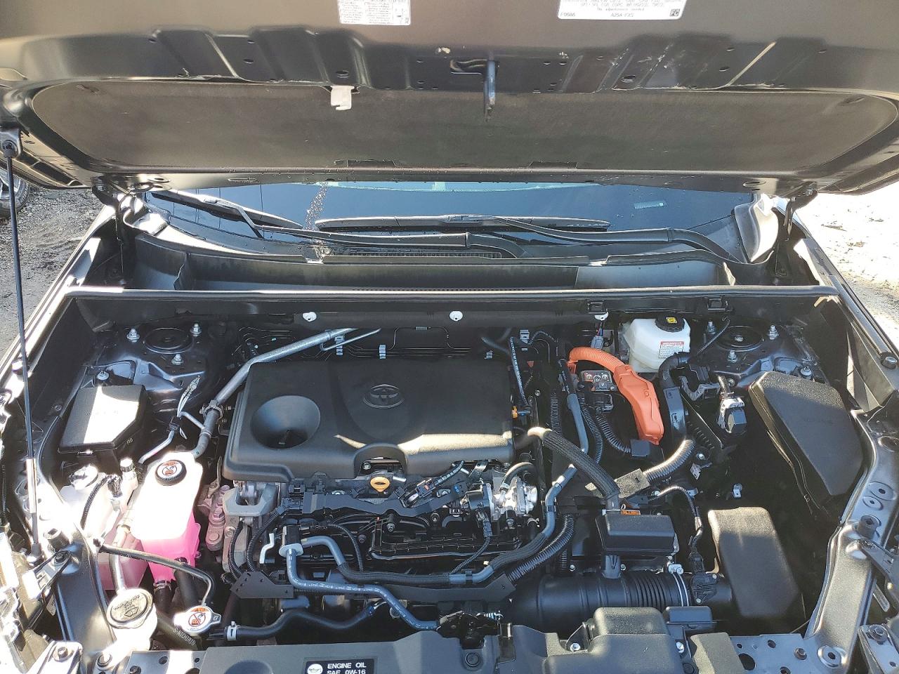 2025 TOYOTA RAV4 LE photo 12