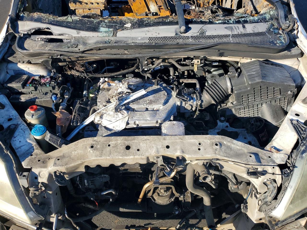 2008 HONDA ODYSSEY EXL photo 12