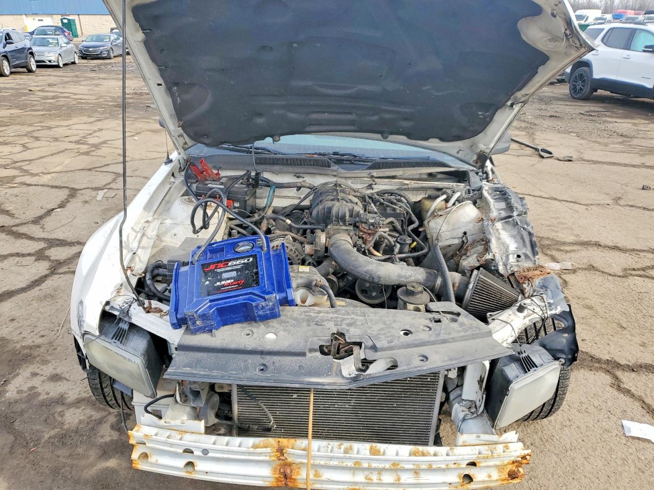 2007 FORD MUSTANG photo 11