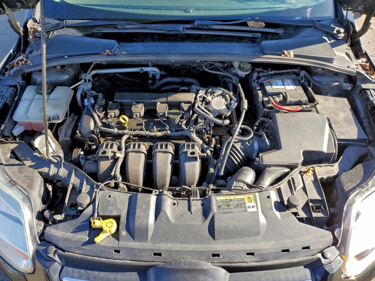 2014 FORD FOCUS SE photo 11