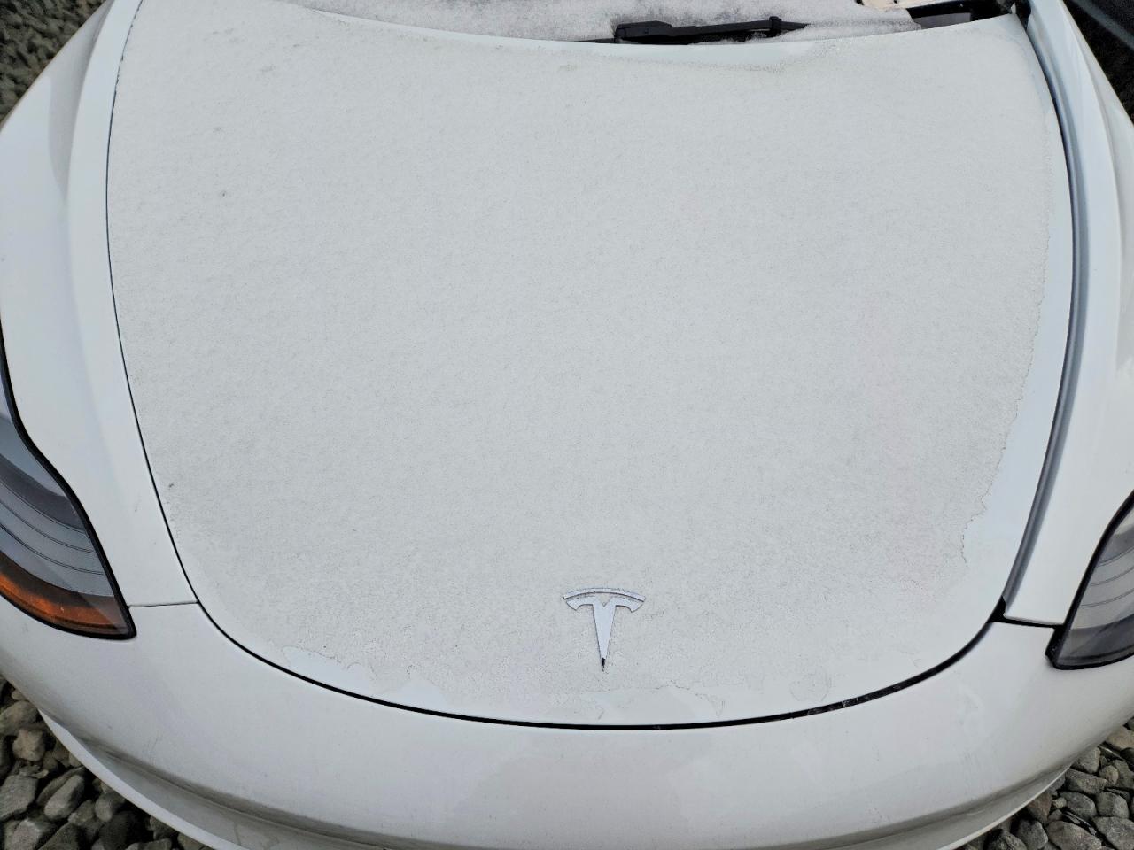 2023 TESLA MODEL 3 photo 11