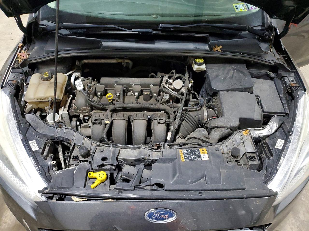 2017 FORD FOCUS SE photo 11