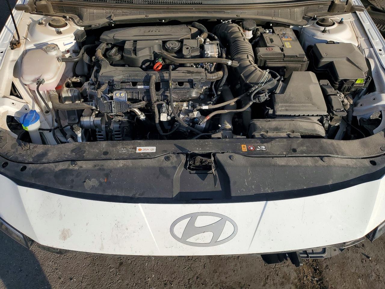 2025 HYUNDAI ELANTRA N LINE photo 6