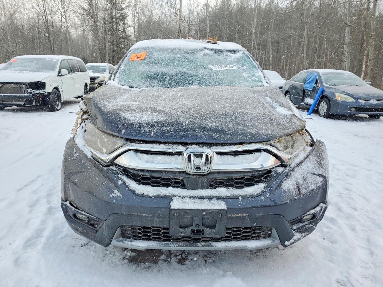 2019 HONDA CR-V EX photo 5
