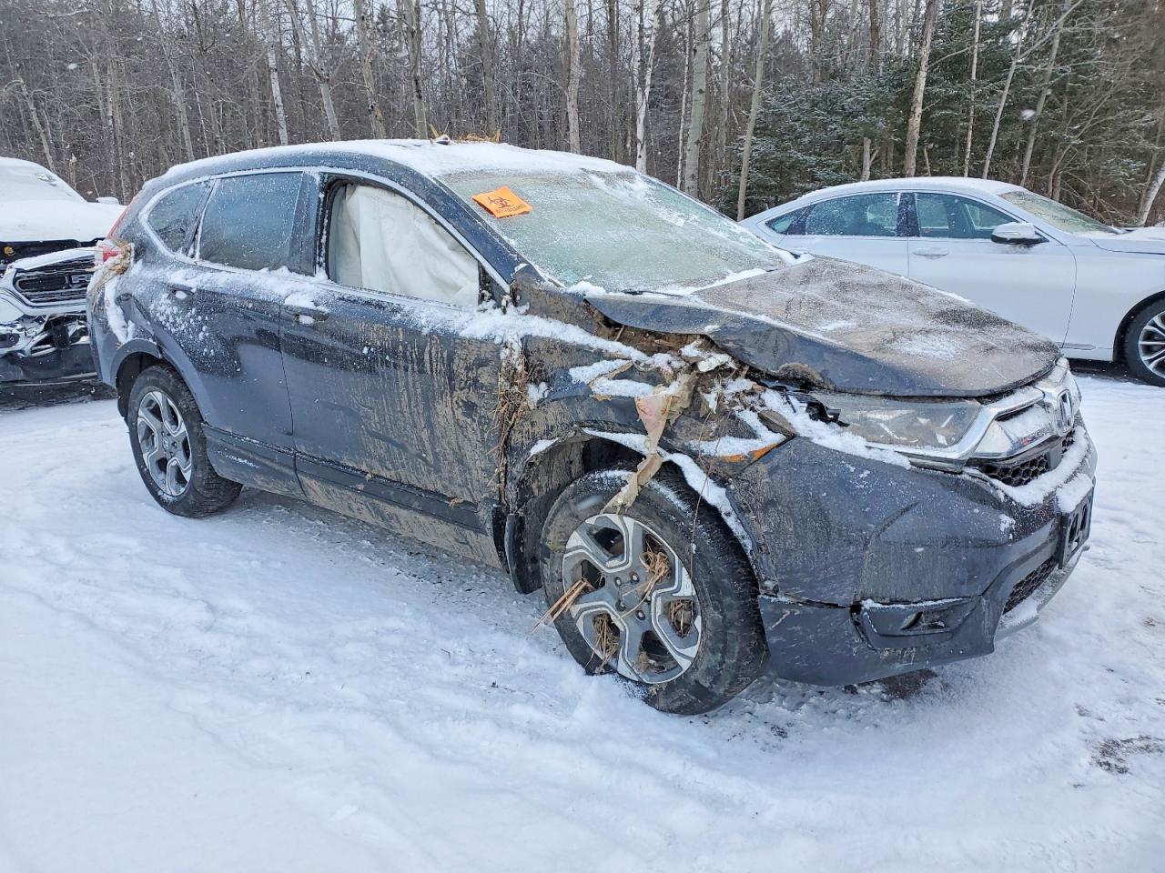 2019 HONDA CR-V EX photo 4