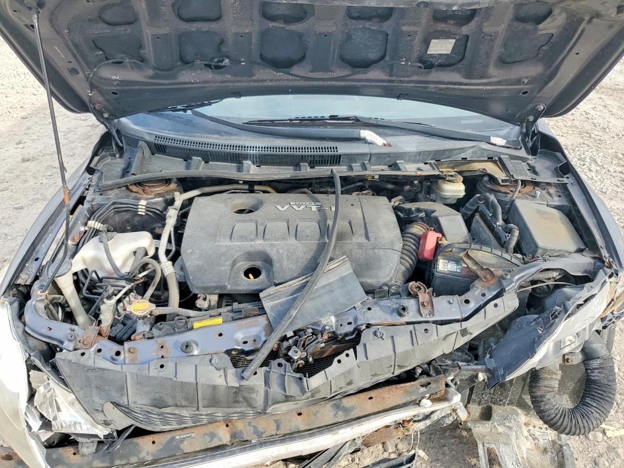2010 TOYOTA COROLLA photo 11