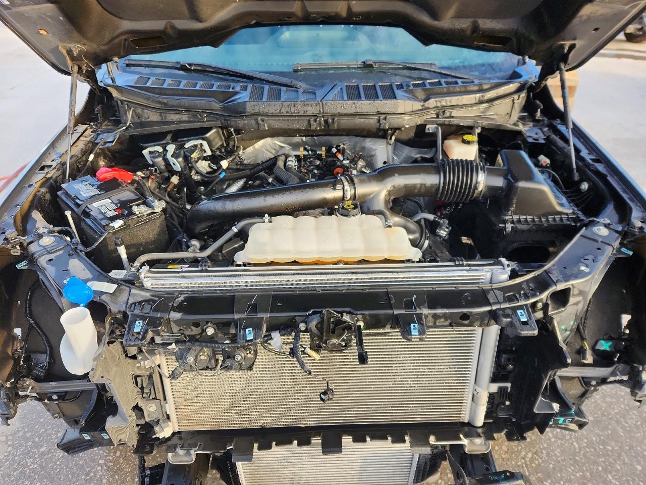2024 FORD F150 XLT photo 11