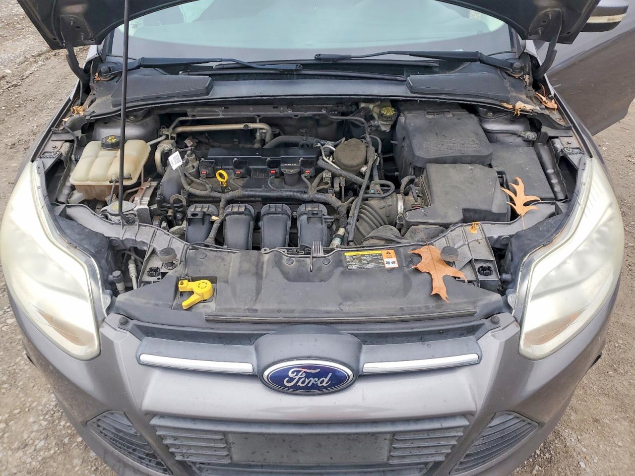 2014 FORD FOCUS SE photo 11