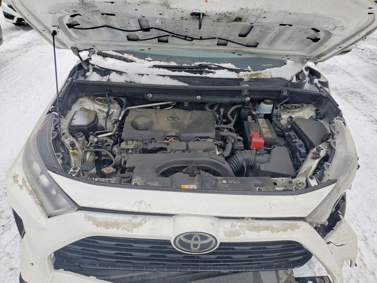 2019 TOYOTA RAV4 LE photo 12