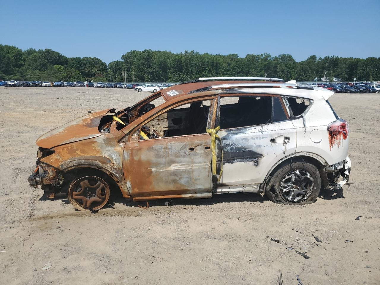 2016 TOYOTA RAV4 LE photo 9