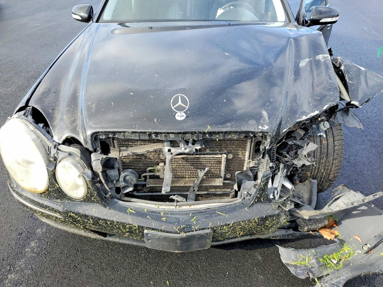 2008 MERCEDES-BENZ E 550 photo 11