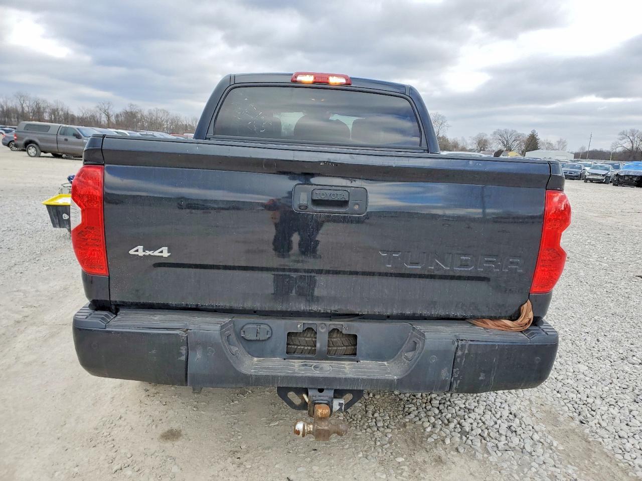 2018 TOYOTA TUNDRA PLATINUM photo 11