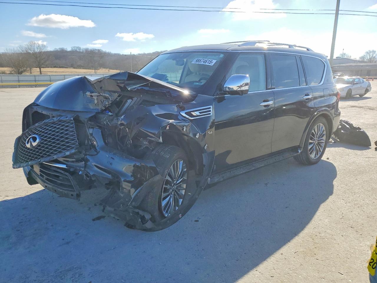 2019 INFINITI QX80