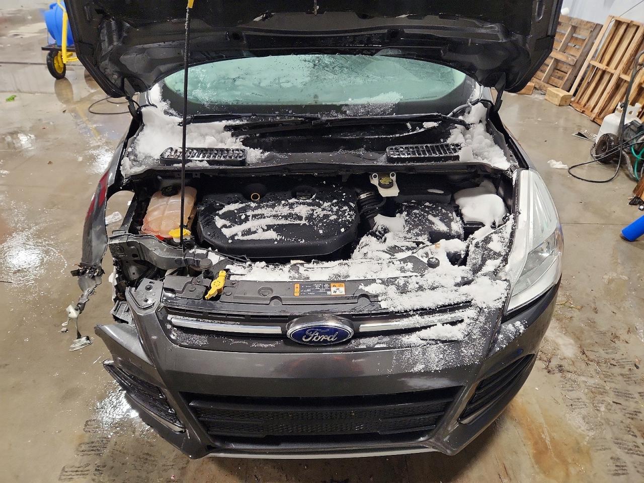 2015 FORD ESCAPE SE photo 12