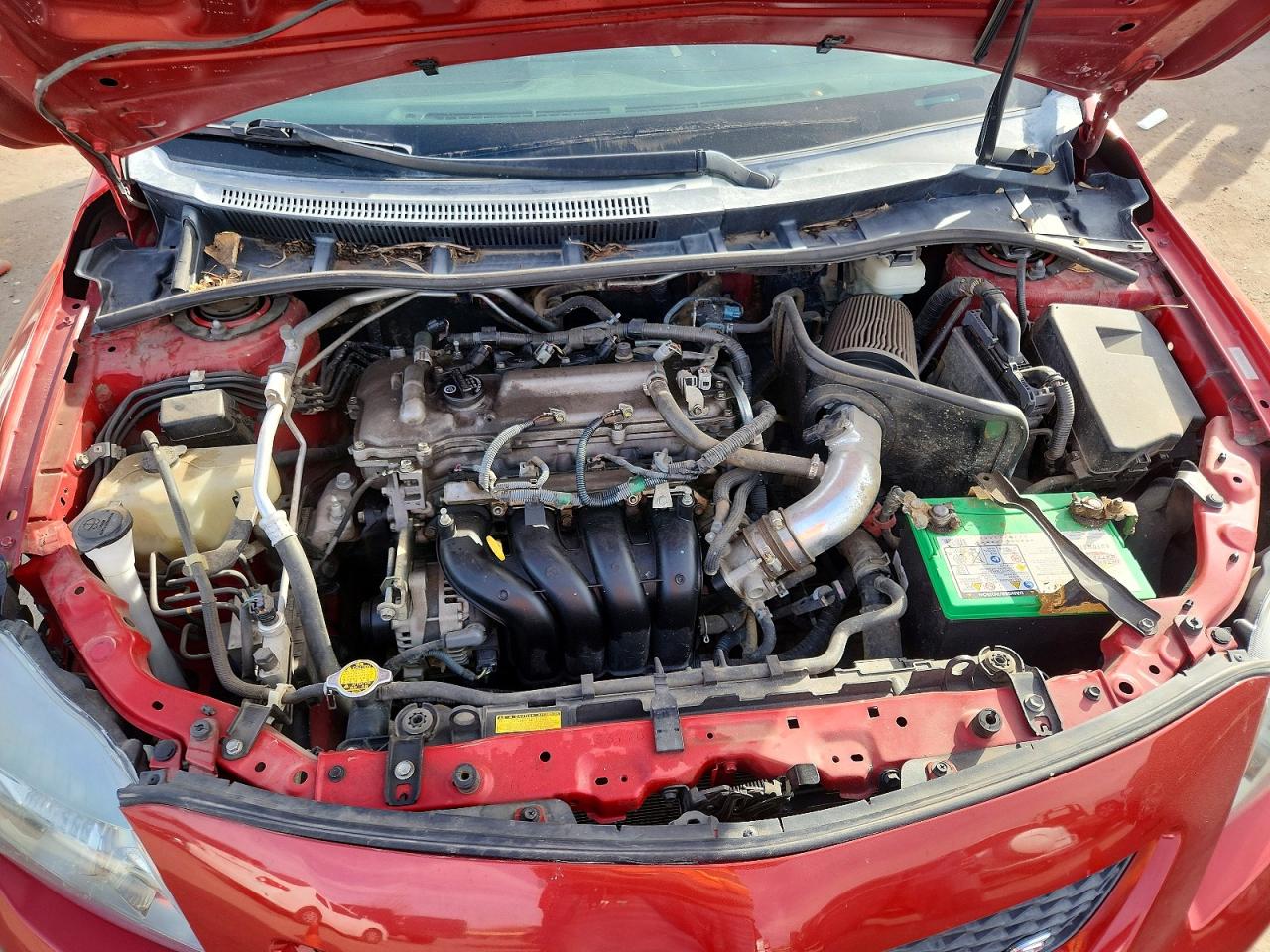 2010 TOYOTA COROLLA BASE photo 11