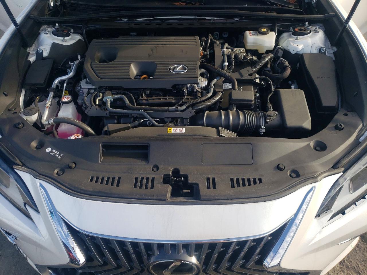 2025 LEXUS ES 300H BASE photo 11