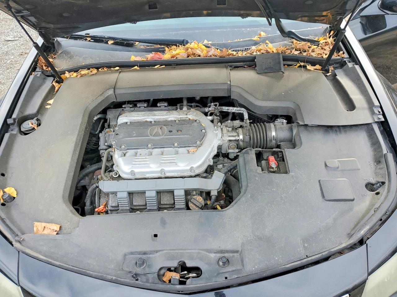 2014 ACURA TL photo 11